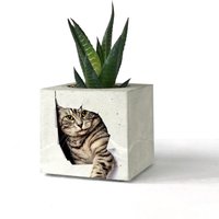 Katze Bedruckter Beton Übertopf, Sukkulenten Halter, Kakteen Töpfe, Einzigartiges Geschenk Für Sie, Büro Deko Pflanzentopf von btonworks