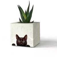 Schwarze Katze Bedruckter Beton Übertopf, Sukkulenten Halter, Kaktus Töpfe, Einzigartiges Geschenk Für Sie, Büro Deko Pflanzentopf von btonworks