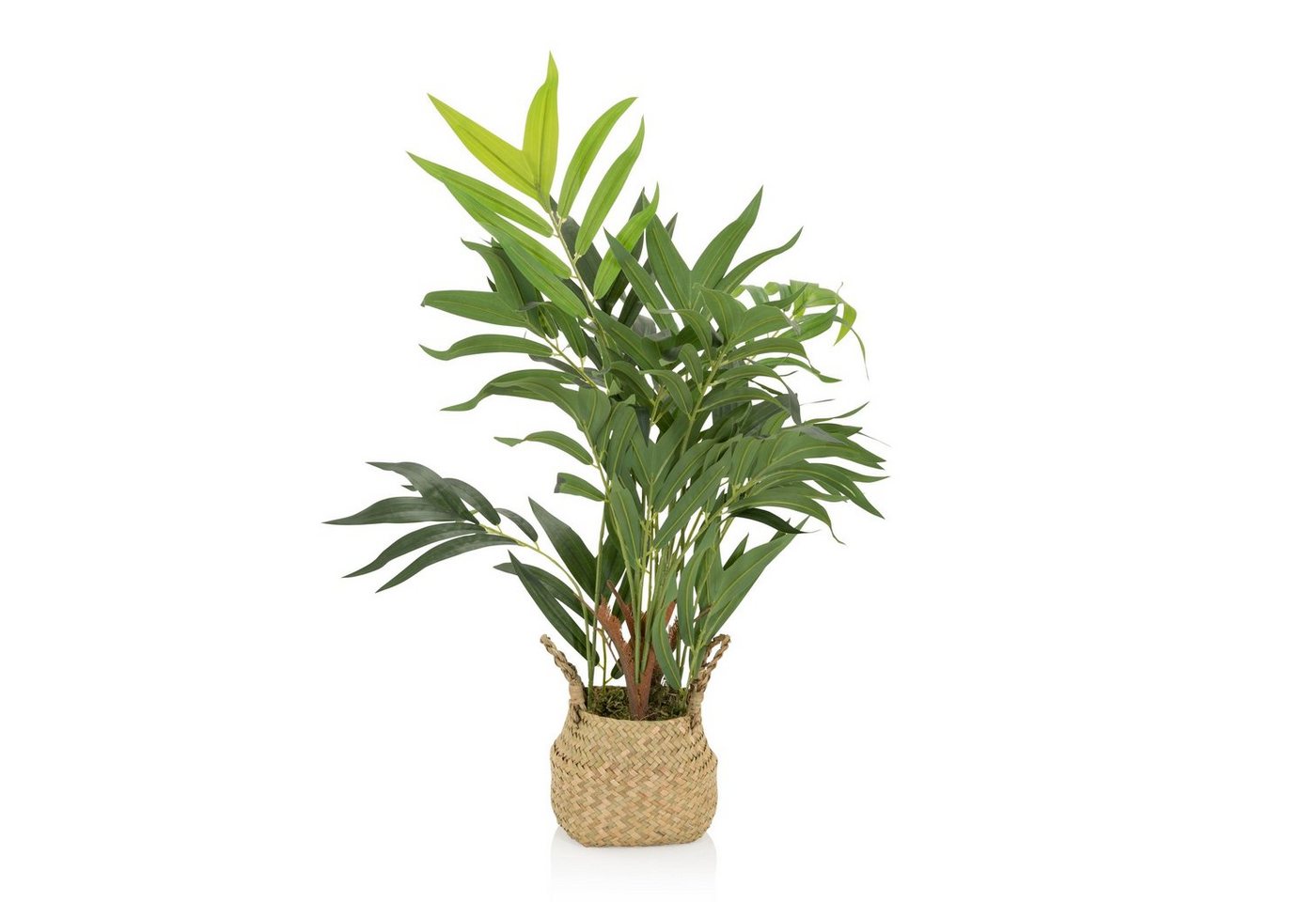 Künstliche Zimmerpflanze Deko Pflanzen, bümö, Höhe 65 cm, Kunstpflanze: Bergpalme / Bambuspalme für innen- und außen von bümö
