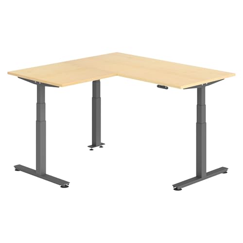 bümö Eckschreibtisch elektrisch höhenverstellbar L-Form: 160 x 160 cm in Ahorn, Gestell Graphit - Stehschreibtisch mit Memory-Steuerung, elektrischer XXL Schreibtisch für die Ecke von bümö