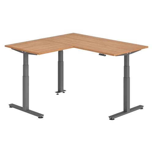 bümö Eckschreibtisch elektrisch höhenverstellbar L-Form: 160 x 160 cm in Nussbaum, Gestell Graphit - Stehschreibtisch mit Memory-Steuerung, elektrischer XXL Schreibtisch für die Ecke von bümö