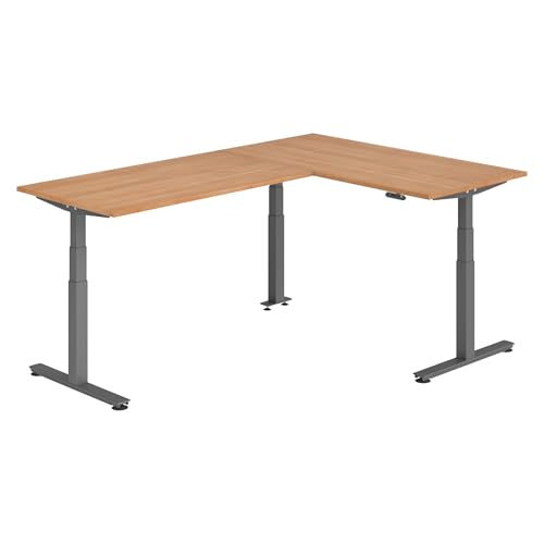 bümö Eckschreibtisch elektrisch höhenverstellbar L-Form: 160 x 240 cm in Nussbaum, Gestell Graphit - Stehschreibtisch mit Memory-Steuerung, elektrischer XXL Schreibtisch für die Ecke von bümö