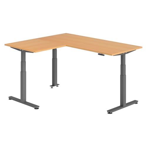 bümö Eckschreibtisch elektrisch höhenverstellbar L-Form: 180 x 160 cm in Buche, Gestell Graphit - Stehschreibtisch mit Memory-Steuerung, elektrischer XXL Schreibtisch für die Ecke von bümö