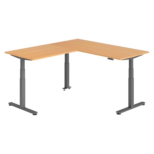 bümö Eckschreibtisch elektrisch höhenverstellbar L-Form: 180 x 200 cm in Buche, Gestell Graphit - Stehschreibtisch mit Memory-Steuerung, elektrischer XXL Schreibtisch für die Ecke von bümö