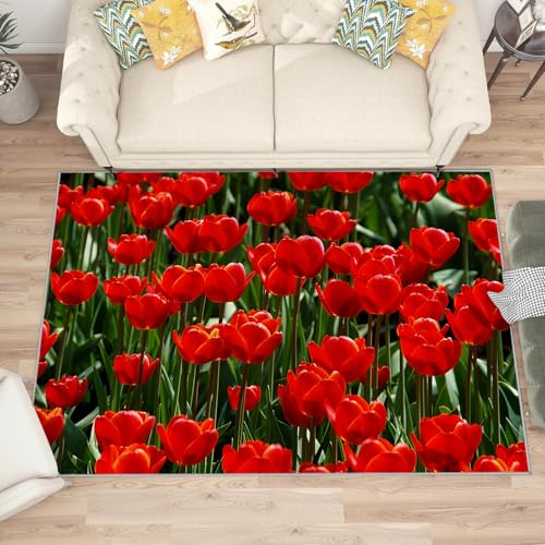 buyluhn Quadratischer Kurzflor-Teppich 120x120, Tulpe Grün Rot Teppich Kinderzimmer, Blumen Waschbar rutschfest Dünn Saugfähig Teppiche Für Bad Eingangsbereich Innenräume N383 buyluhn Quadratischer Kurzflor-Teppich 120x120, Tulpe Grün Rot Teppich Kinderzimmer, Blumen Waschbar rutschfest Dünn Saugfähig Teppiche Für Bad Eingangsbereich Innenräume N383 von buyluhn
