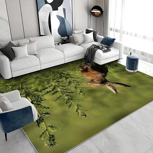 buyluhn Waschbarer Kurzflor-Teppich 160x200 - Kaninchen Grün Teppiche - Tiere Dünn Saugfähig Carpet Für Wohnzimmer Schlafzimmer Jugendzimmer Jungen Mädchen Oder Als Bettvorleger G&370 buyluhn Waschbarer Kurzflor-Teppich 160x200 - Kaninchen Grün Teppiche - Tiere Dünn Saugfähig Carpet Für Wohnzimmer Schlafzimmer Jugendzimmer Jungen Mädchen Oder Als Bettvorleger G&370 von buyluhn