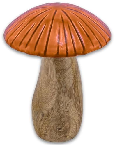 by Gehlmann Deko Pilz Mangoholz mit lackierten Kappen in Orange oder Pink - Herbst- & Weihnachtsdeko, 17 cm H, Farbe:Orange von by Gehlmann
