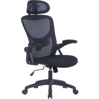 FLEX Chefsessel, Kunststoff schwarz, Mesh-Webstoffbezug schwarz FLEX Chefsessel, Kunststoff schwarz, Mesh-Webstoffbezug schwarz von byLIVING