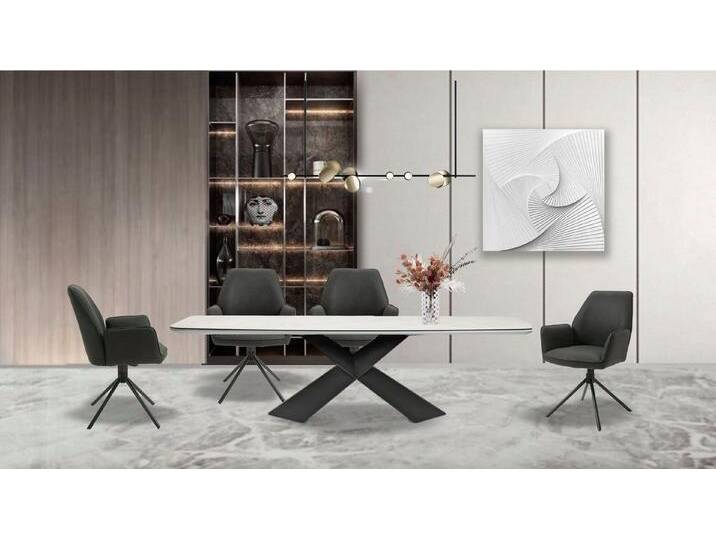 byLIVING Esszimmerstuhl Blair (Set, 2 St), 2er-Set, 360 Grad drehbar, gemütlicher Sessel, verschiedenen Stoffe, grau, Anthrazit, Anthrazit von byLIVING