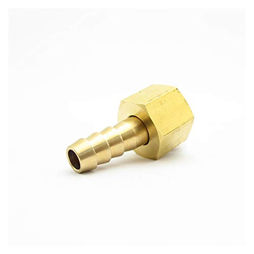 caihv-Pipe-Schnittstelle Messingrohrfitting Kupplung-Stecker-Adapter, 6mm 8mm 10mm Schlauch Barb x M10 M12 M14 M16 metrisch Innengewinde Anschlussadapter für Gartenwasserrohre (Color : M10x1 to 6mm) von caihongwei