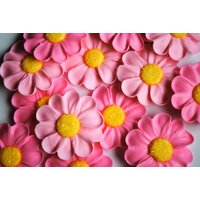Blumen Cupcake Toppers - Schleifen Zucker Mitten Rosa Und Gelb | 12 von cakeartbychristy