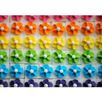 Royal Icing Blüten Auf Zuckerwürfel - Regenbogen Mix | 25 Oder 50 von cakeartbychristy