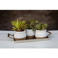 Keramik Blumentopf Kleine Sukkulenten Pflanzer Mit Drainage Gartenpflanze Geschenk Für Sie Hochzeit Favor Home Decor Innentopf | Auf Bestellung von camillascollectionco