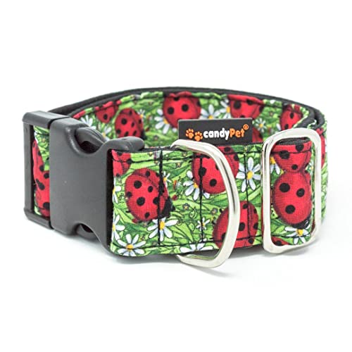 CandyPet Hundehalsband Martingale – Modell Obst des Waldes von candyPet