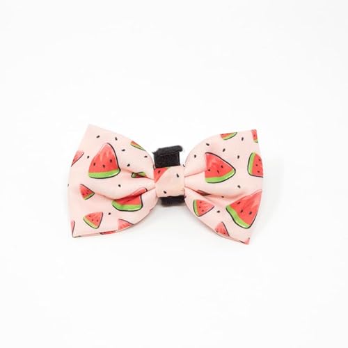 candyPet - Fliege/Dutt - Klettverschluss - Fliege oder Schleife für Halsband oder Geschirr - Passend zu Geschirr, Halsband und Leine, Watermelon von candyPet