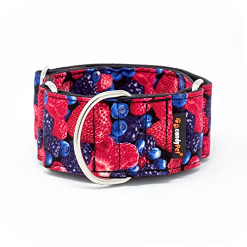 CandyPet Hundehalsband Martingale – Modell Obst des Waldes, M: Width 4 cm (30-50cm diameter) von candyPet