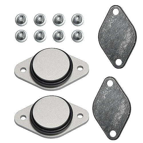 CANTONDZ AGR-Entfernungssatz Ventilkühler-Reparatur-Ersatzsatz Kompatibel mit Range Rover L322 Vogue 3.6 TDV8 von cantondz