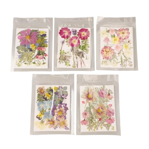 5 Beutel 100 pcs gepresste Blüten, multi Zweck farbenfrohe getrocknete Blüten verschiedene Stile Lebendige Prägiendetails Trockene Blätter für DIY -Schimmelpilz -Lesezeichen (Typ 2) von cardyven