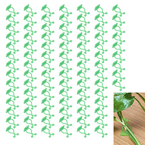 cardyven 100 Stück Pflanzen Klettern Wandbefestigungen, 1.4×0.8×0.8 Zoll Wand Rebe Selbstklebende Haken Kletterpflanzen Clips Selbstklebende Zweigbefestigungen Unsichtbare (Grün) von cardyven