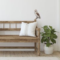 Schleiereule Abnehmbarer Wandaufkleber, Raubvogel Vinyl Aufkleber Aufkleber, Eulen-Wanddekor, Naturwandaufkleber von carlaJArt