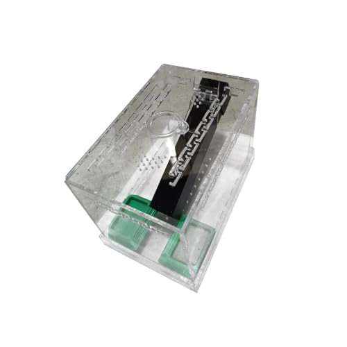 carotoe Acryl-Cricket-Tanks mit Futterwannen und belüftetem Design zur Beobachtung, belüftetes Cricketgehäuse von carotoe