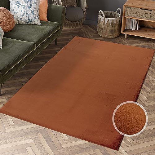 Hochflor Teppich Wohnzimmer - Einfarbig Terra - 80x150 cm - Super Soft Polyester, Samtig-Flauschiger Flor - Fell-Teppiche für Schlafzimmer, Esszimmer, Arbeitszimmer von carpet city