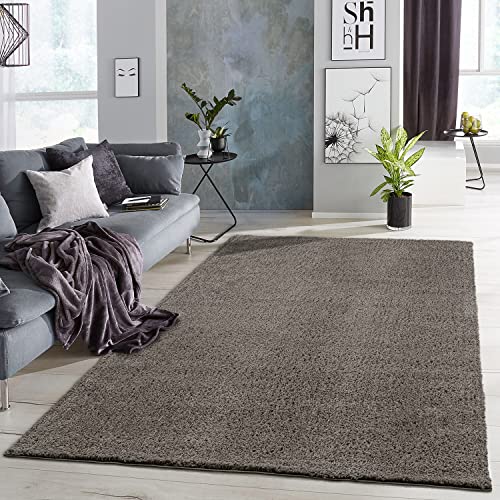 carpet city Polyester Shaggy Teppich Hochflor Wohnzimmer - 160x225 cm - Einfarbig Taupe - Flauschig-Weich - Modern - Langflor Schlafzimmer-Teppiche Pflegeleicht von carpet city