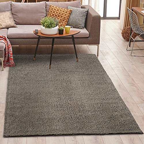 carpet city Shaggy Teppich Hochflor - 120x170 cm - Taupe Einfarbig - Weicher Wohnzimmerteppich Uni Modern - Polyester-Teppiche Soft Flauschig-Weich Schlafzimmer - Kinderzimmerteppich von carpet city