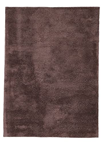 carpetfine Hochflorteppich Silky Braun Flauschig weicher Langflor Shaggy Teppich 60x90 cm für Wohnzimmer, Schlafzimmer & Kinderzimmer von carpetfine