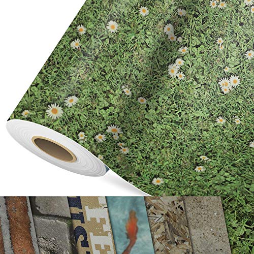 CV Bodenbelag Daisies - extra abriebfester PVC Bodenbelag (geschäumt) - Foto-Druck Blumenwiese - Oberfläche strukturiert - Meterware (100x150 cm) von casa pura