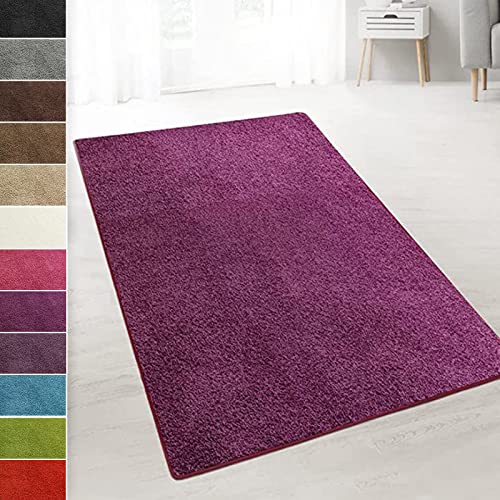 casa pura Teppich Wohnzimmer Berry Flauschiger Teppich 100x250cm Läufer, weicher Wohnteppich Deko für Schlafzimmer, Kinderzimmer, Flur mit antirutsch Unterseite, Shaggy Hochfloor Barcelona von casa pura