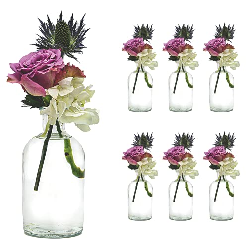 casavetro 6 Stück Kleine Vase BOST Blumen Tisch Dekoration Hochzeit Party Set Flasche Glas klar (6 Stück-OK.) von casavetro