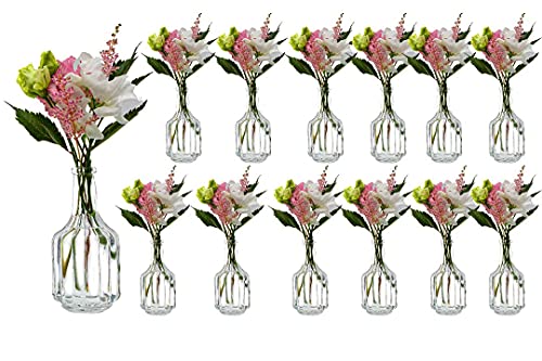 casavetro 12 x kleine Vasen Glasflaschen HALSI Glasfläschchen Landhaus Vintage Vase Flasche Glas klar Mini Deko-Flaschen Vasen (12 xHalsi) von casavetro