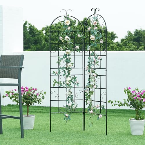 casa.pro Rankgitter Barrea 2er Set Rankhilfe zum Stecken Metall Schwarz 180 cm hoch Garten Spalier für Kletterpflanzen freistehend Blumengitter von casa.pro