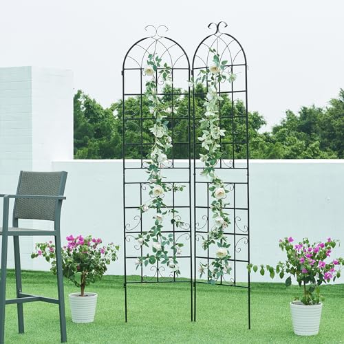 casa.pro Rankgitter Barrea 2er Set Rankhilfe zum Stecken Metall Schwarz 220 cm hoch Garten Spalier für Kletterpflanzen freistehend Blumengitter von casa.pro