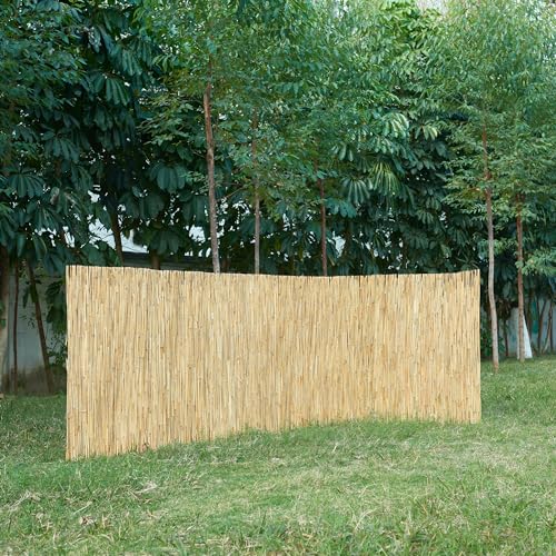 casa.pro Schilfrohrmatte Abbateggio 100 x 300 cm Sichtschutz Balkon Schilfzaun Garten Schilfmatte Balkonverkleidung Gartenzaun von casa.pro