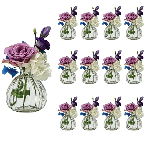 casavetro 12 x Kleine Vase Blumen Tisch-Vase Dekoration Hochzeit Party Set Flasche Glas klar (12 Stück Prime)(Kürbis-OK) von casavetro