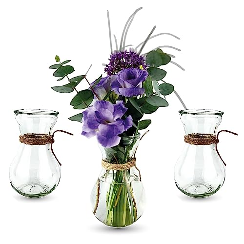 casavetro 3st Tee-Vase Blumen Tisch Dekoration Hochzeit Party Set Flasche Glas klar (3 Stück) von casavetro