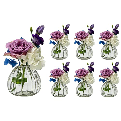 casavetro 6 Stück Kleine Vase Blumen Tisch-Vase Dekoration Hochzeit Party Deko Set Flasche Glas klar (6 Stück Kürbis o.k.) von casavetro