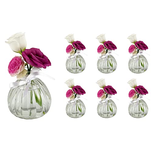 casavetro 6 x Kleine Vase mit Weiß Schleife Blumen Tisch-Vase Dekoration Hochzeit Party Set Flasche Glas klar (6 Stück)(Kürbis-OK) von casavetro