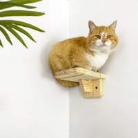 Moderne Katzen Schwimmstufen Aus Kiefernholz Mit Kratzschere von catbossshelfs