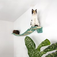 Katzenbrücke Aus Kiefernholz Wandmontierte Katzenstange Mit Sisalleiter von catbossshelfs