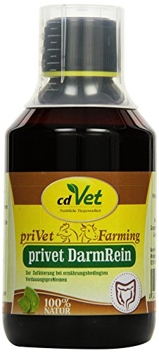 cdVet Naturprodukte priVet DarmRein 250 ml - Geflügel - Kaninchen - Schweine - Unterstützung der Futteraufnahme + Verdauung + Darmflora - Verdauungsstörungen - Durchfall - Darmprobleme - cdVet Naturprodukte priVet DarmRein 250 ml - Geflügel - Kaninchen - Schweine - Unterstützung der Futteraufnahme + Verdauung + Darmflora - Verdauungsstörungen - Durchfall - Darmprobleme - von cdVet