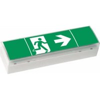 Ceag Notlichtsysteme LED-Einzelbatterie-Leuchte m.Prüftaster SV EURO4 LED 3h(SET) von ceag