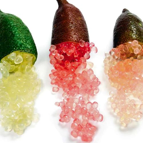 100 Stück gemischte Fingerlimetten-Fruchtsamen 100 Stück gemischte Fingerlimetten-Fruchtsamen von cetechondra