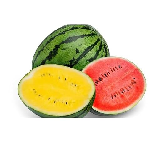 100 Stück gemischte Wassermelonenfruchtsamen 100 Stück gemischte Wassermelonenfruchtsamen von cetechondra