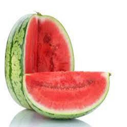 60 Stück Wassermelonenfruchtsamen von cetechondra