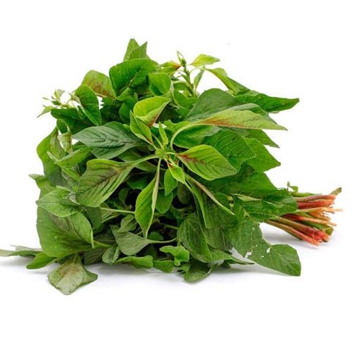 80 Stück grüne Amaranth-Gemüsesamen von cetechondra