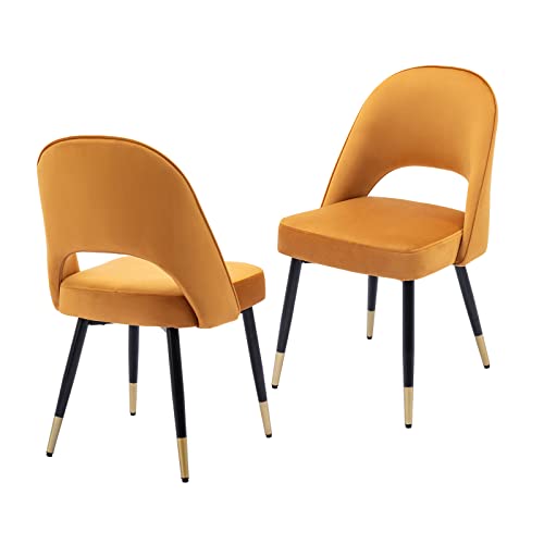 chairus 2er Set Esszimmerstühlen aus Samt für Küche Wohnzimmer Modern Armloser Bürostuhl Polsterstuhl Seitenstühle Hohler Rückenmit Metallbeinen (Gelb-2) von chairus