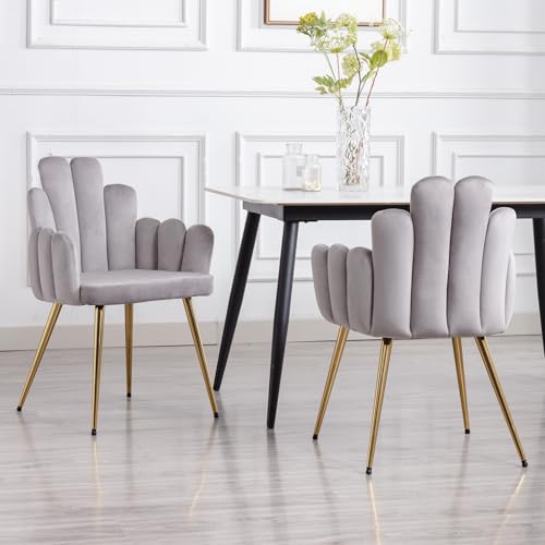 chairus 2er Set Samt Esszimmerstühle Küche gepolsterter Sitz Sessel Schlafzimmer Wohnzimmer Akzentstuhl mit Metallbeinen(Grau-1) von chairus
